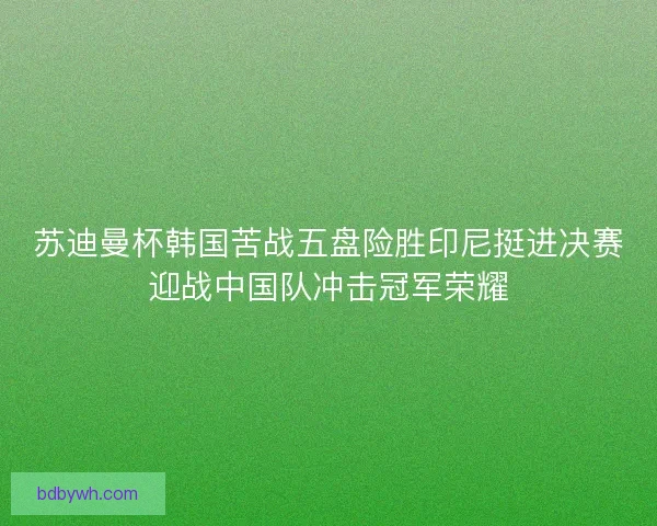 苏迪曼杯韩国苦战五盘险胜印尼挺进决赛迎战中国队冲击冠军荣耀