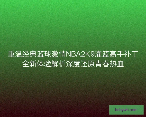 重温经典篮球激情NBA2K9灌篮高手补丁全新体验解析深度还原青春热血